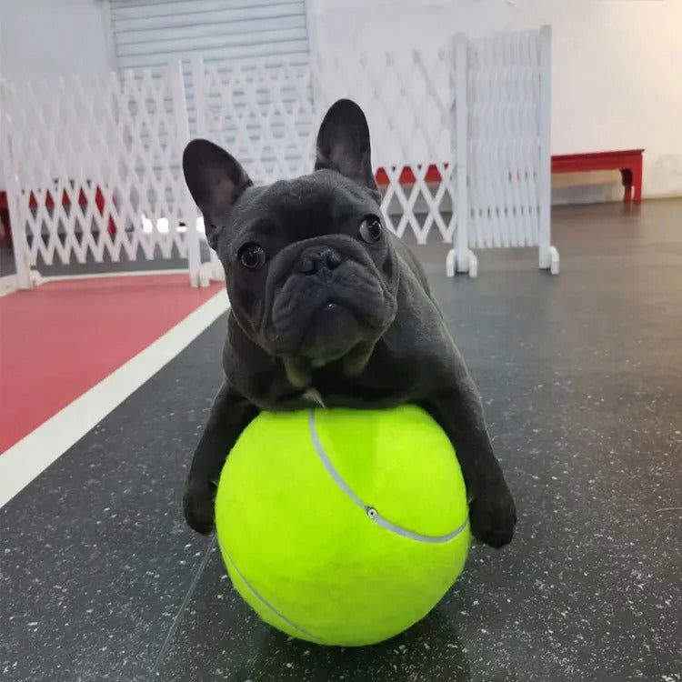 GigaFetch™ Ball - Furrevermates