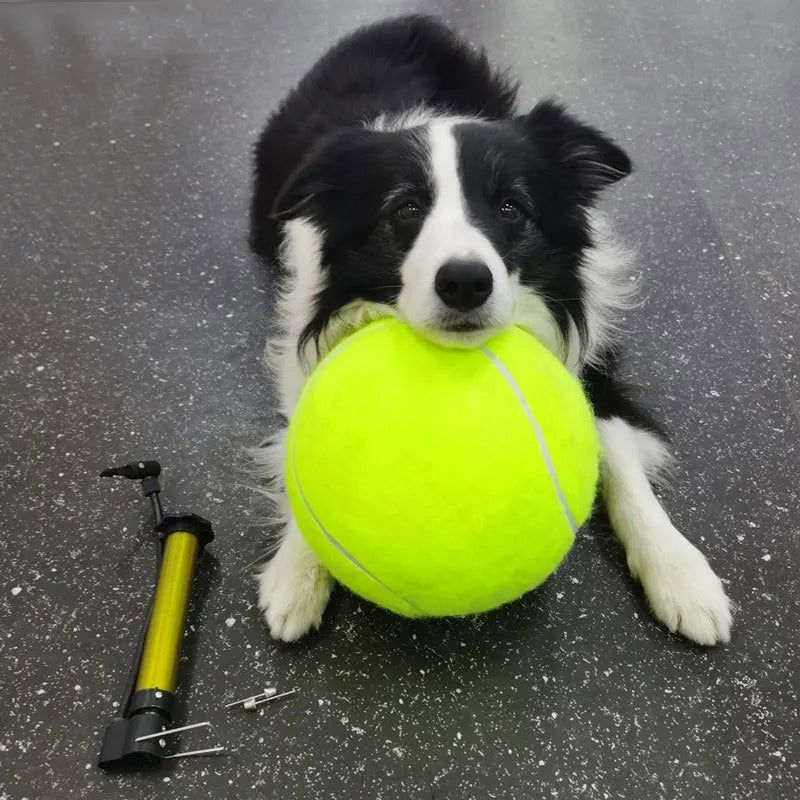 GigaFetch™ Ball - Furrevermates