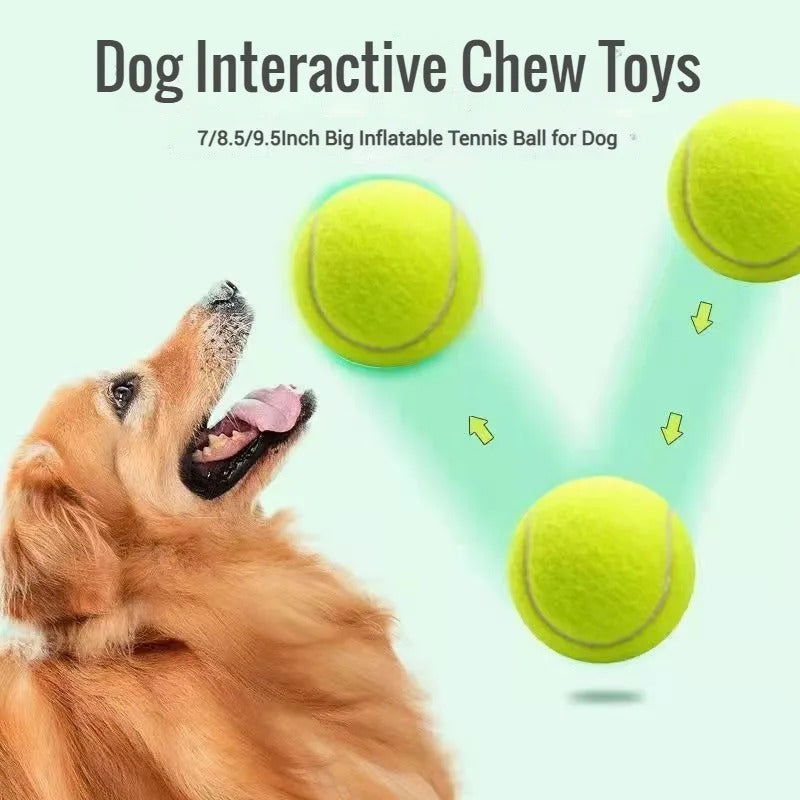 GigaFetch™ Ball - Furrevermates