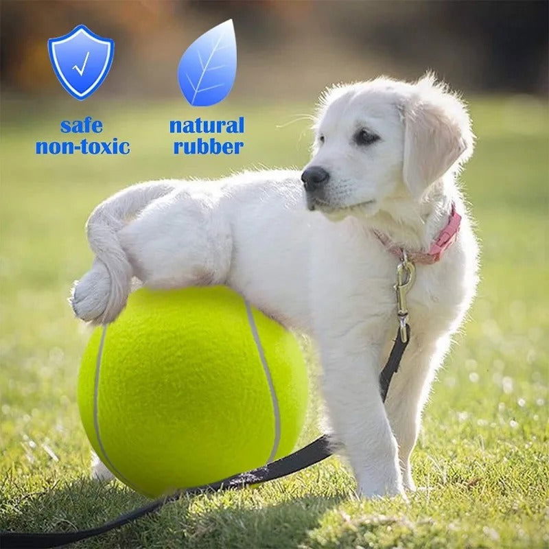 GigaFetch™ Ball - Furrevermates