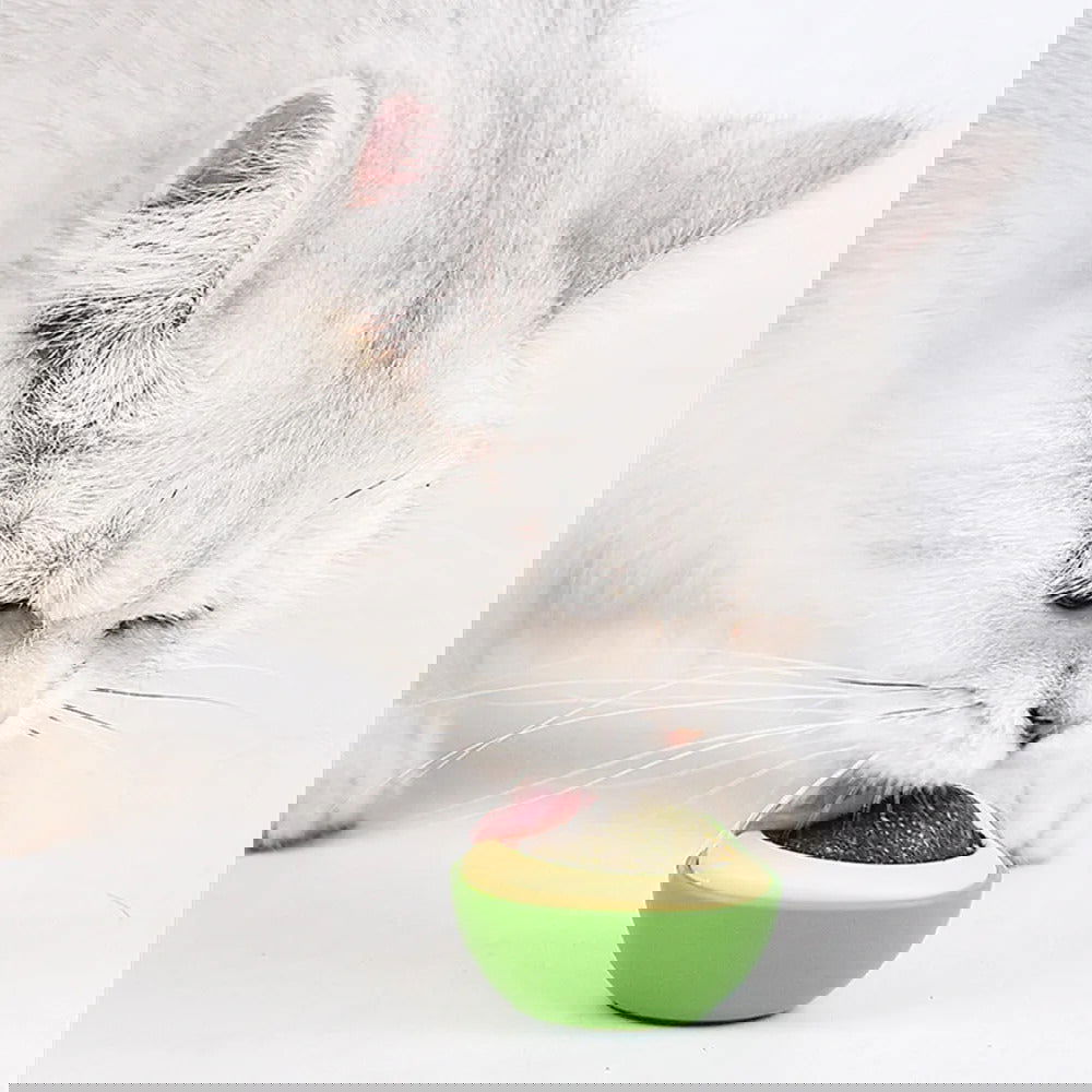 Meowcado™ Nip Ball - Furrevermates