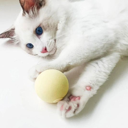 PurrWilderness™ Sphere - Furrevermates